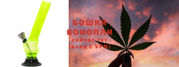 стаф Нея