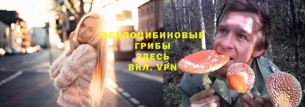 стаф Нея