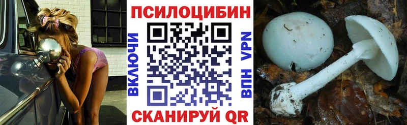 дарнет шоп  Юрьев-Польский  Галлюциногенные грибы Cubensis 